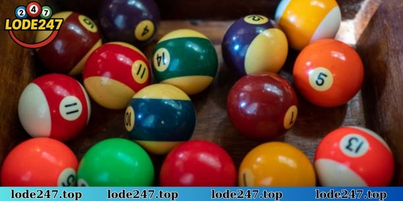 3 càng đề nuôi tuần