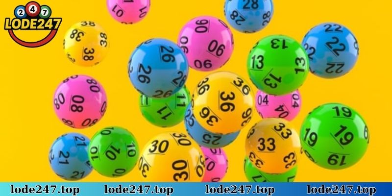 Áp dụng đầu câm chuẩn xác khi nuôi lô kép khung 2 ngày