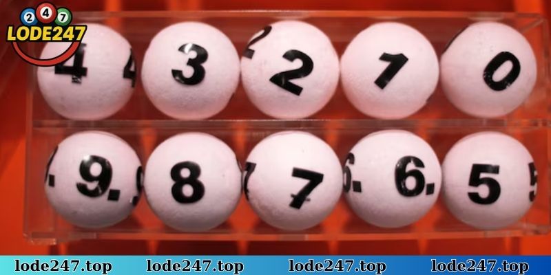 Gấp thếp tối ưu cho bạch thủ lô khung 2 ngày quản lý rủi ro