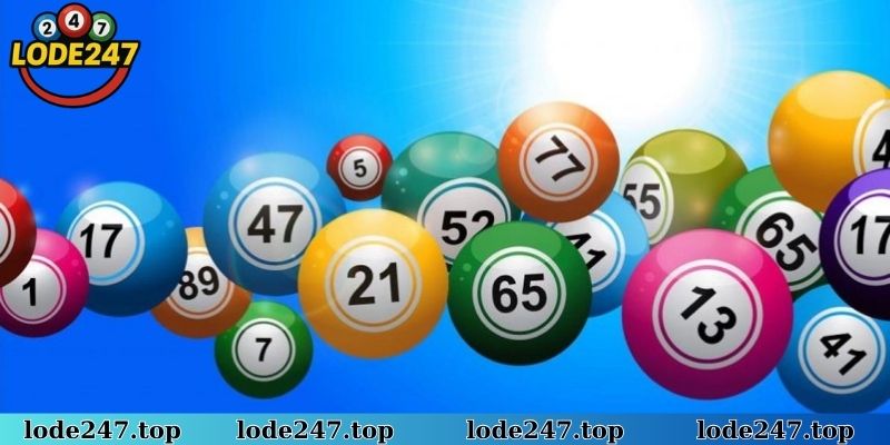 Khám phá thông tin đầy đủ về Rồng Bạch Kim