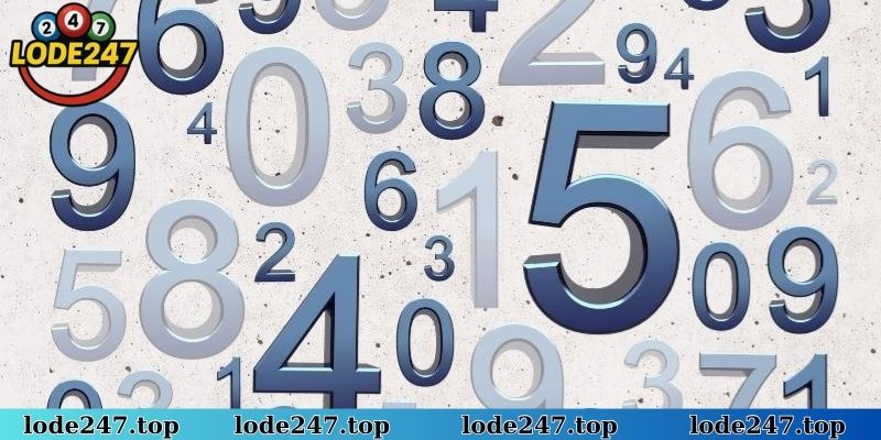 Kiểm tra lô gan Lô Đề 247 là bước quan trọng khi nằm mơ thấy biển