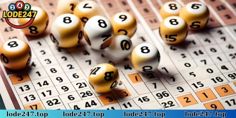 Kỹ thuật soi bạch thủ lô khung 5 ngày từ giải ba cực kỳ hiệu quả