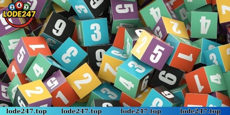 Lô lộn sẽ mang đến dàn đề 24 số cực kỳ ổn định