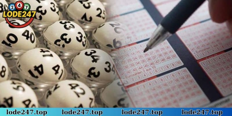 Lô rơi thường xuyên nằm trong danh sách lô top Rồng Bạch Kim