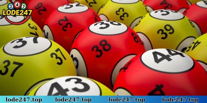 Lô thủ nên tham khảo thông tin chuyên môn trước khi đặt cược